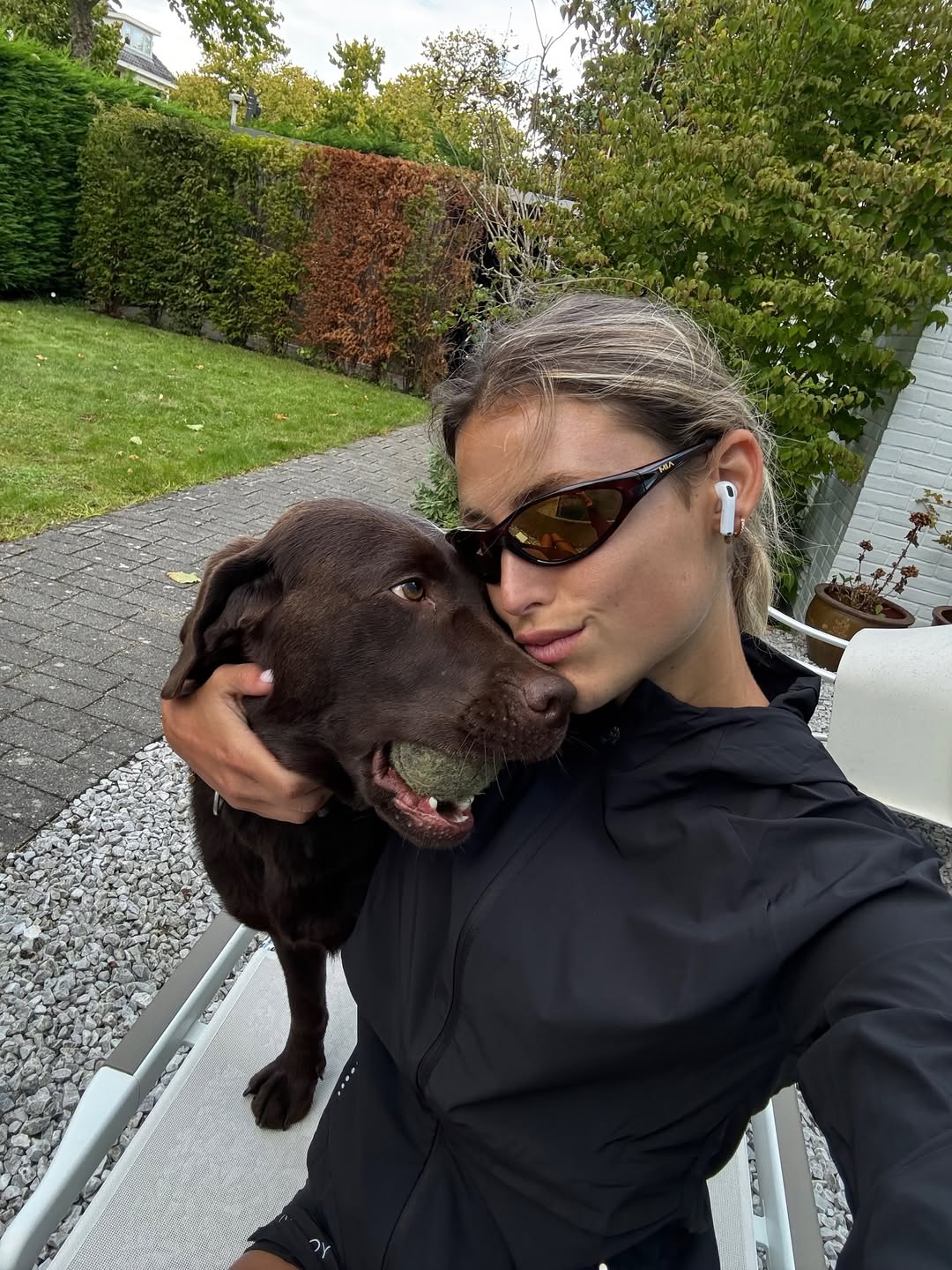 AIM Sunnies - Tortoise